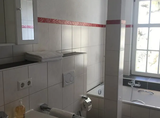 Aurichs מיירסבורג